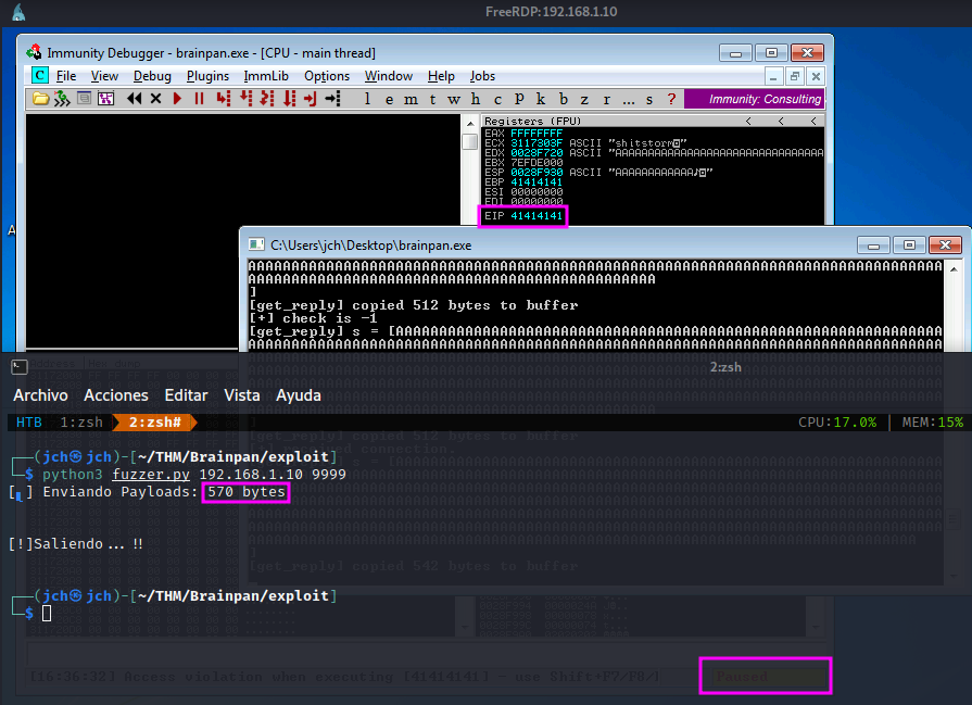 Fuzzer Brainpan executable