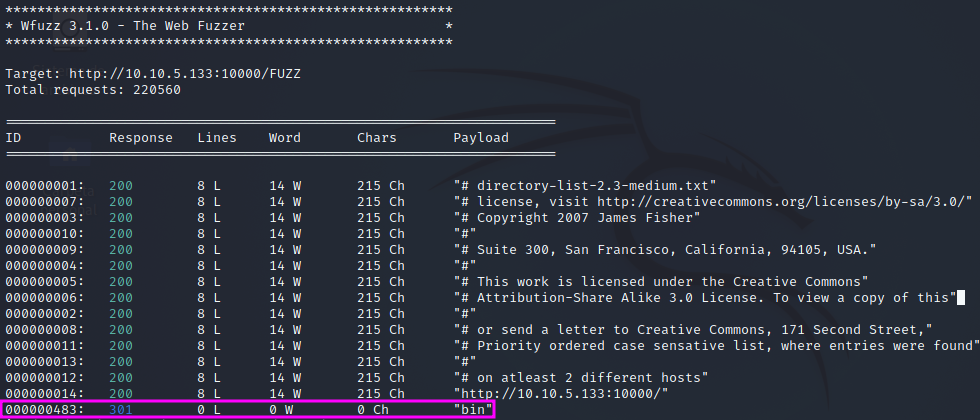 Fuzzing puerto 10000