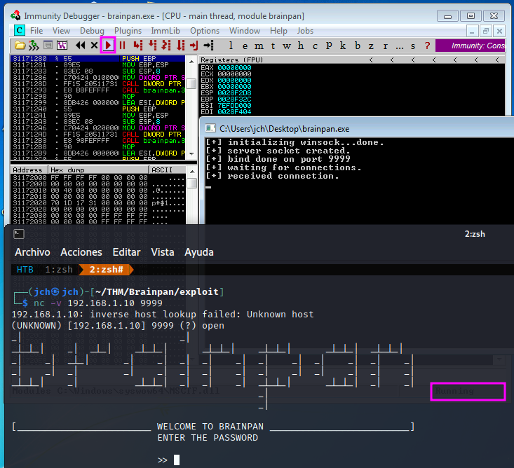 Immunity Brainpan executable