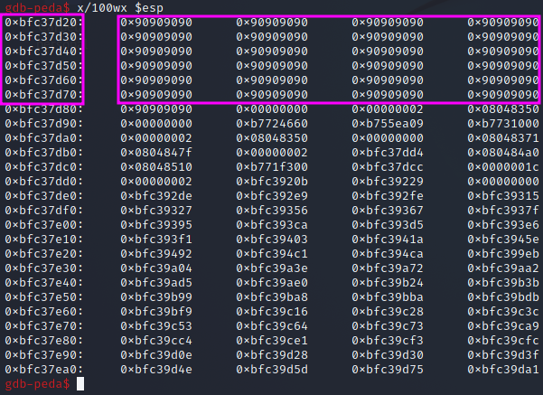 Segmentation Fault